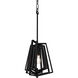 Gymnast 1 Light 10 inch Black Pendant Ceiling Light