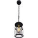 Harlequin 1 Light 7 inch Warm Bronze and Gold Pendant Ceiling Light
