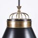 Savarin 1 Light 20 inch Heritage Black and Heritage Bronze Pendant Ceiling Light