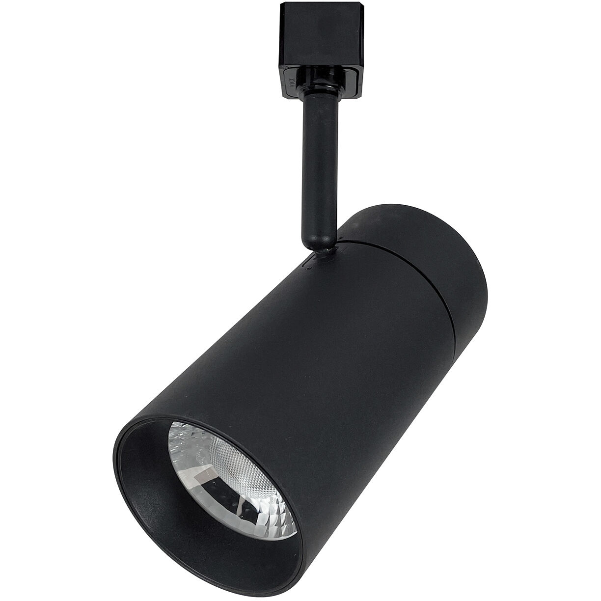 MAX Black Track Head Ceiling Light in Narrow Flood, 2700K, H-Style