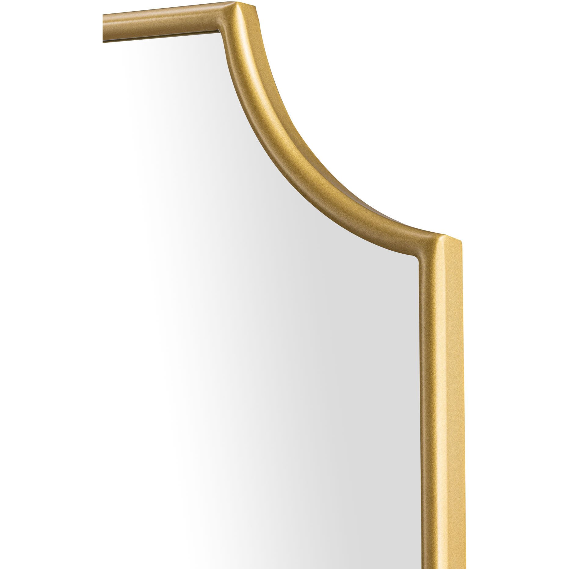 Carlton 33 X 22 inch Gold Wall Mirror, Tamara Day Collaboration