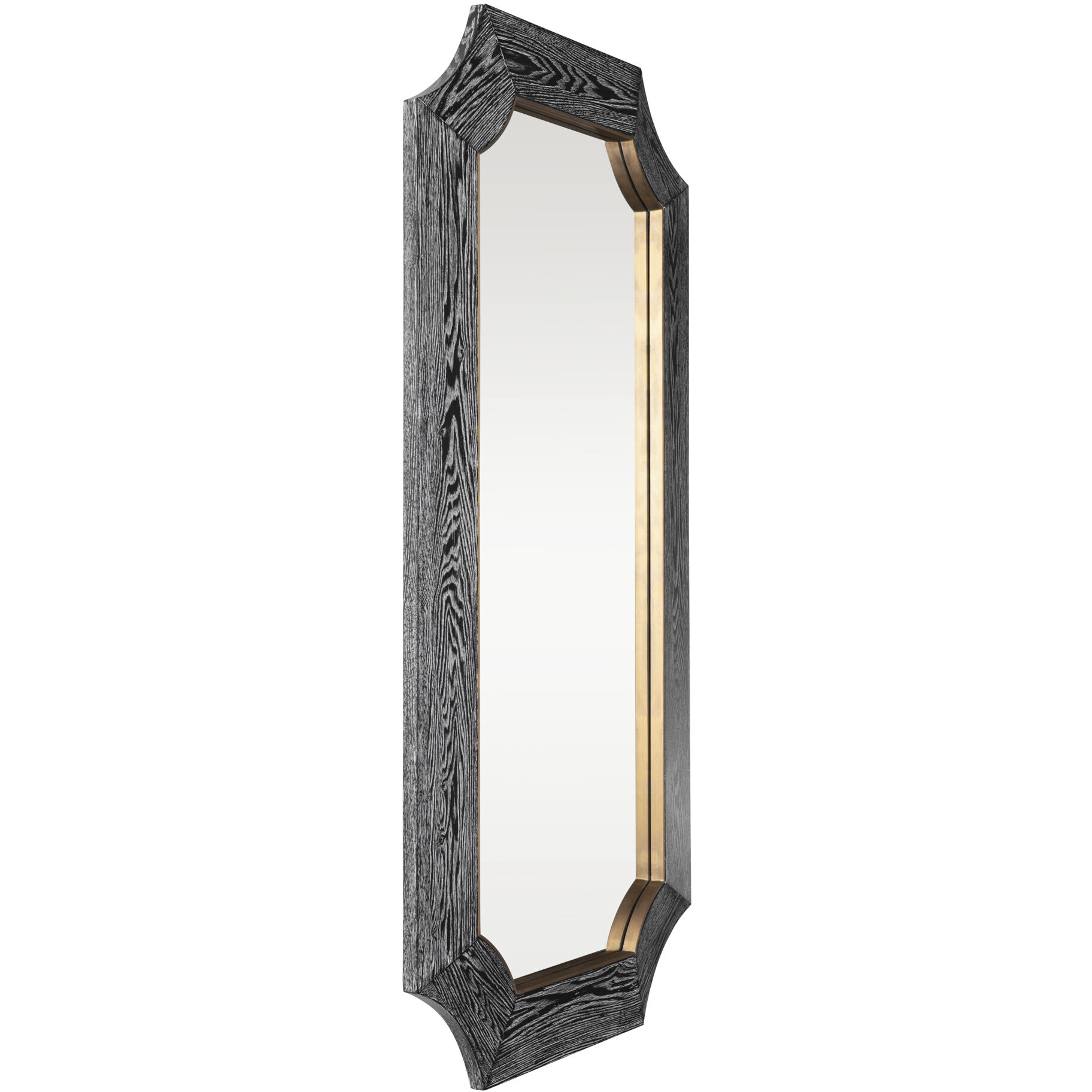 Farra 54 X 28 inch Cerused Black with Weathered Brass Wall Mirror, Varaluz Casa