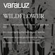 Wildflower 1 Light 10 inch Matte Black Wall Sconce Wall Light, Smithsonian Collaboration