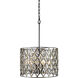 Windsor 4 Light 18 inch Carbon and Havana Gold Pendant Ceiling Light