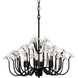 Wildflower 6 Light 26 inch Matte Black Chandelier Ceiling Light, Smithsonian Collaboration