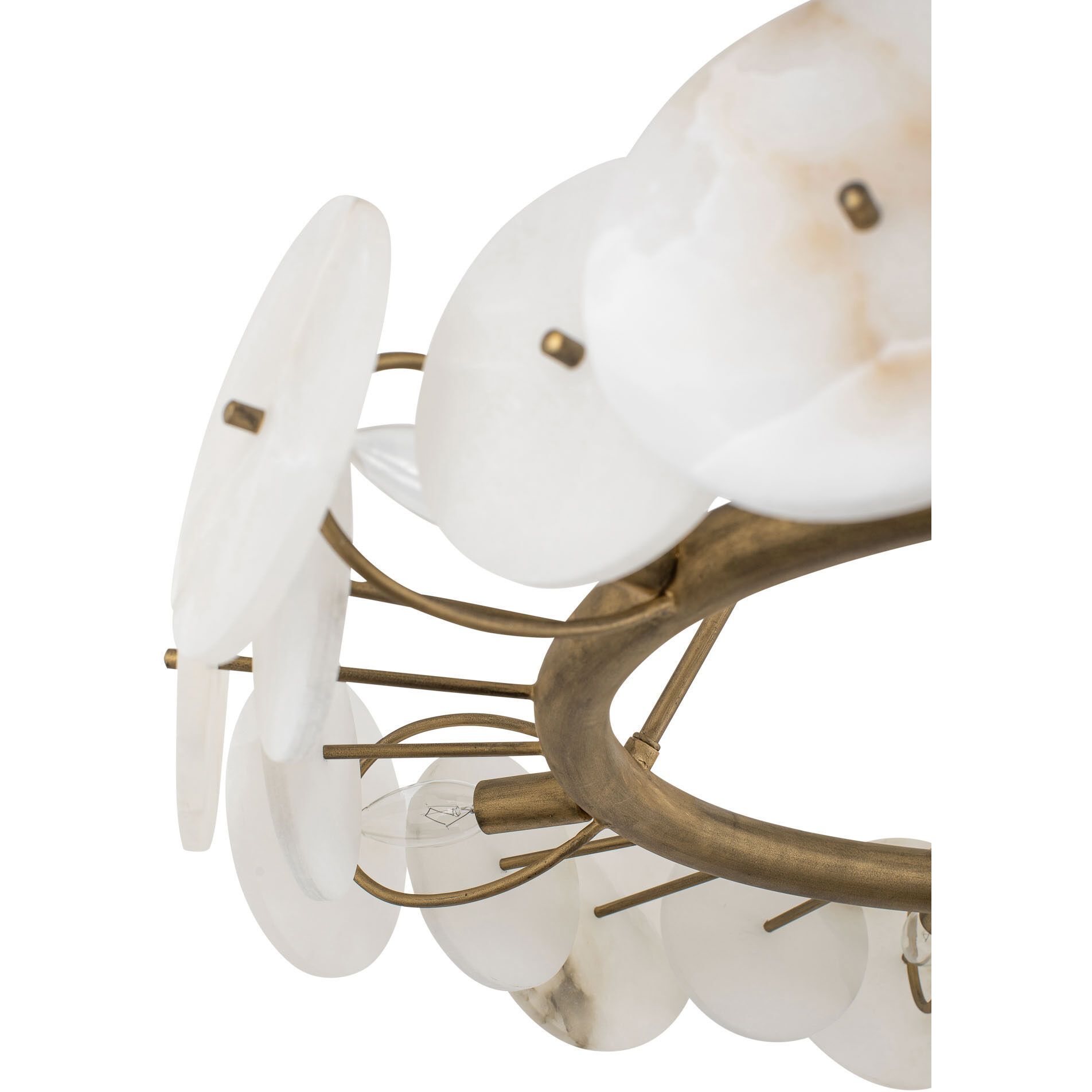 Cosmos 6 Light 30 inch Havana Gold Chandelier Ceiling Light, Smithsonian Collaboration