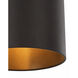 Cannery 1 Light 10 inch Dark Bronze and French Gold Mini Pendant Ceiling Light