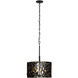 Estela 3 Light 16 inch Matte Black Pendant Ceiling Light, Smithsonian Collaboration