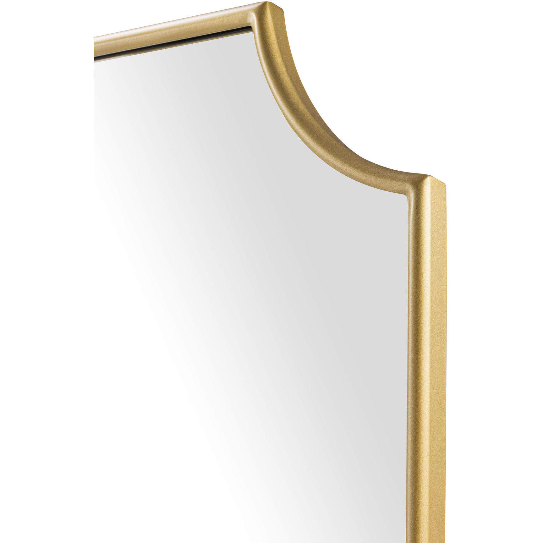 Carlton 50 X 24 inch Gold Wall Mirror, Tamara Day Collaboration