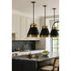 Savarin 1 Light 20 inch Heritage Black and Heritage Bronze Pendant Ceiling Light