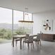 Matrix 10 Light 60 inch Havana Gold Linear Pendant Ceiling Light