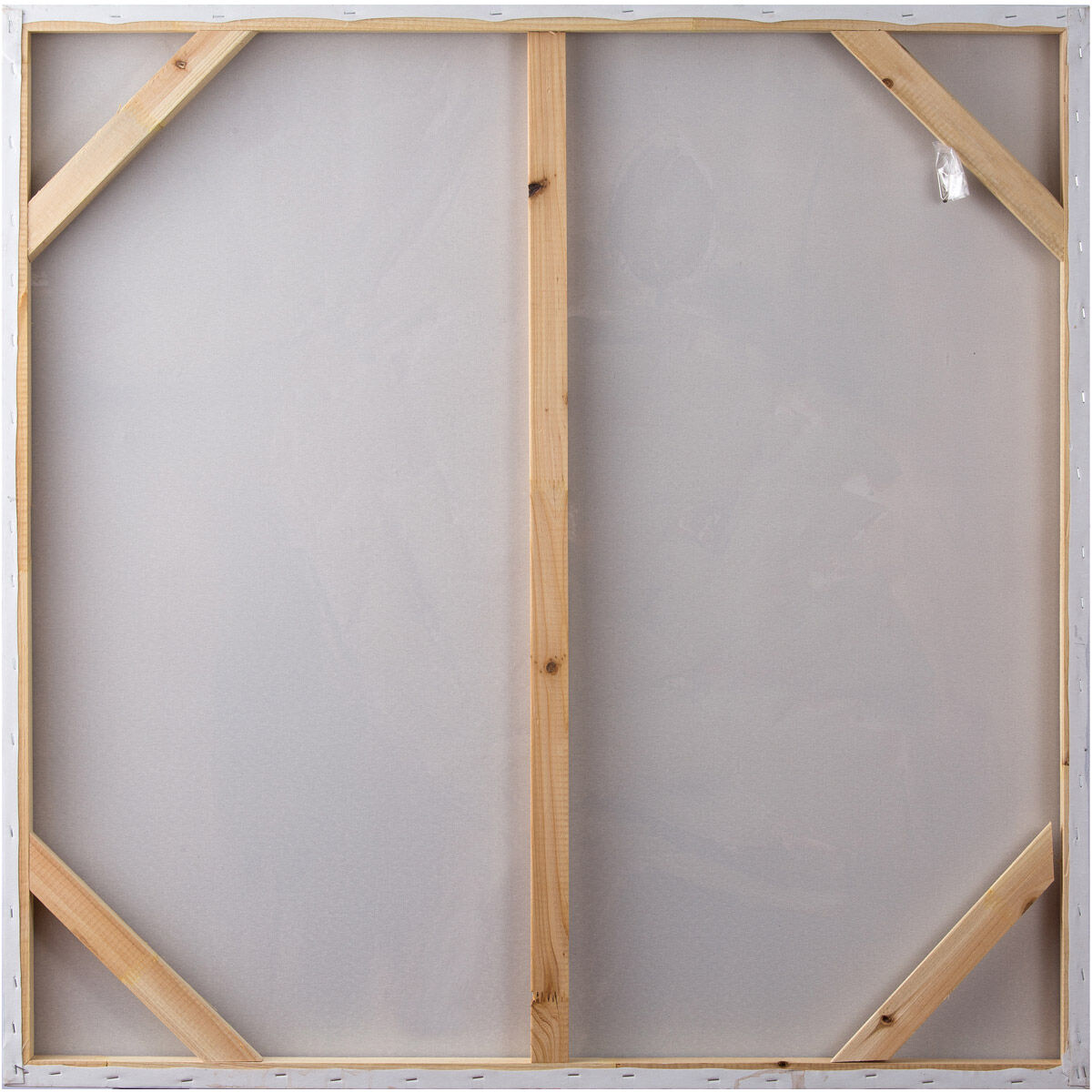 Vibrance Gray and Pink Canvas Wall Art, Varaluz Casa