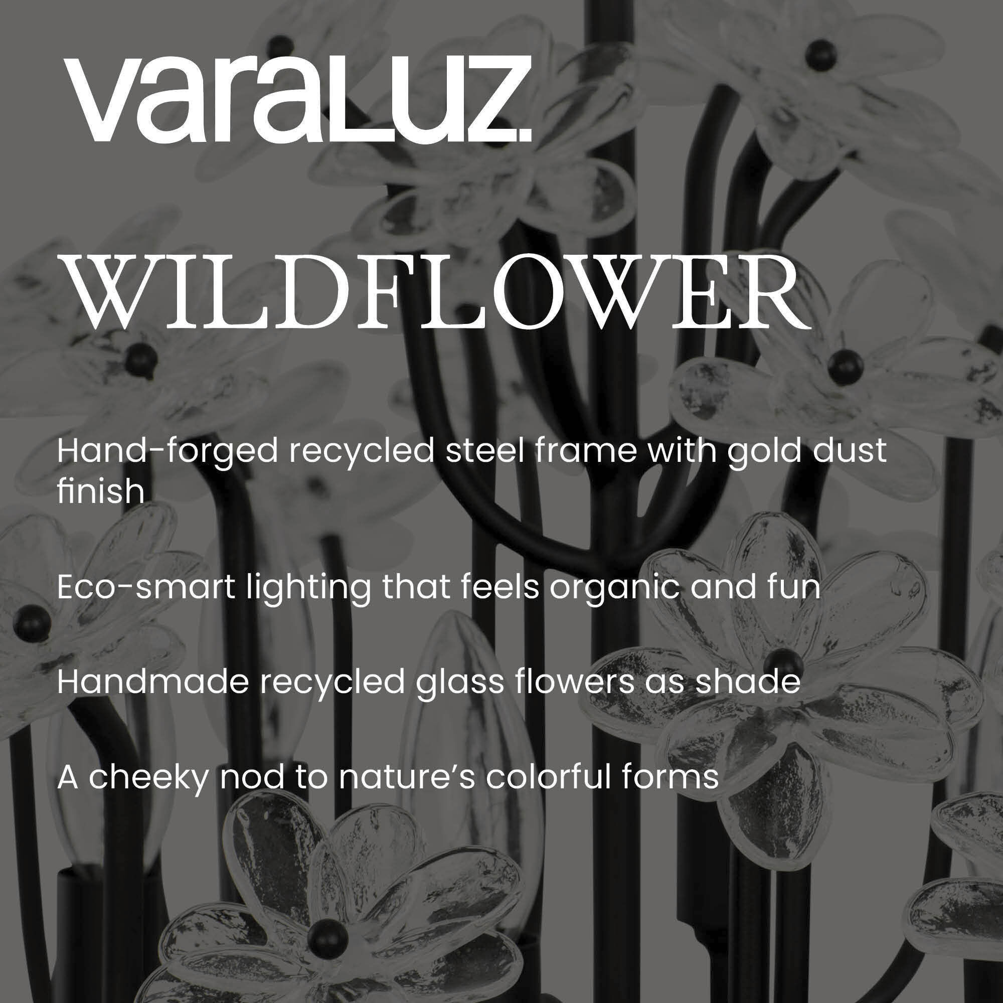 Wildflower 6 Light 26 inch Matte Black Chandelier Ceiling Light, Smithsonian Collaboration