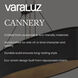 Cannery 1 Light 10 inch Dark Bronze and French Gold Mini Pendant Ceiling Light