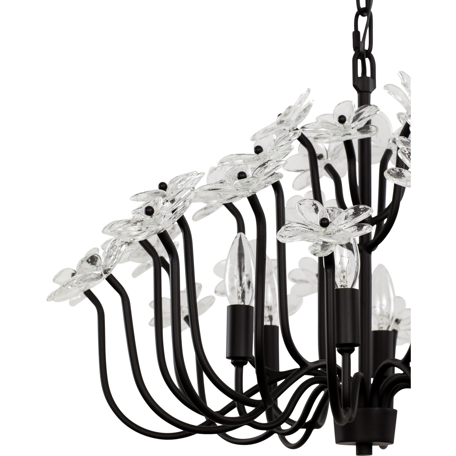 Wildflower 6 Light 26 inch Matte Black Chandelier Ceiling Light, Smithsonian Collaboration