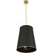 Coco 9 Light 20 inch Matte Black/French Gold Foyer Pendant Ceiling Light