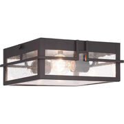 Outdoor Ceiling Lights