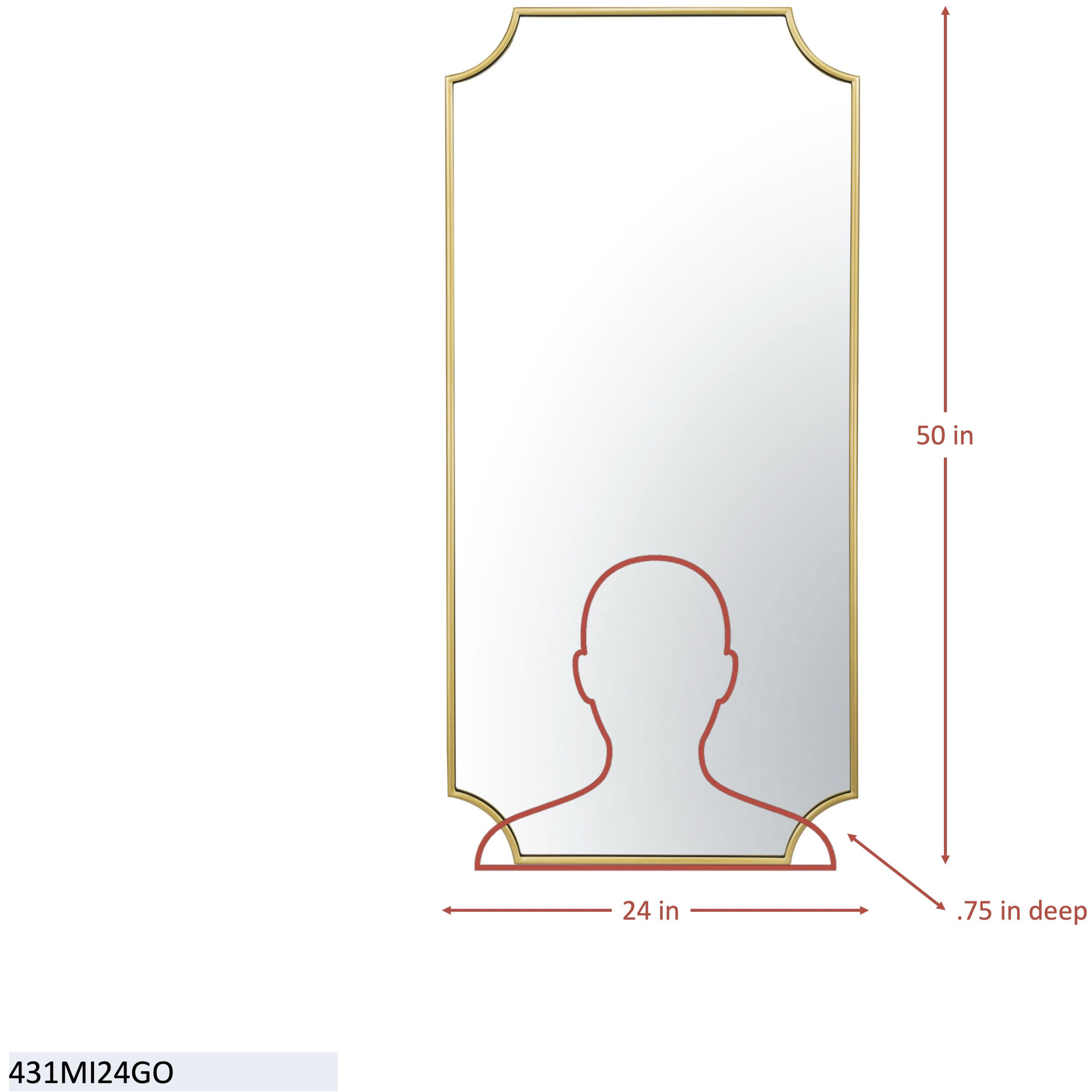 Carlton 50 X 24 inch Gold Wall Mirror, Tamara Day Collaboration