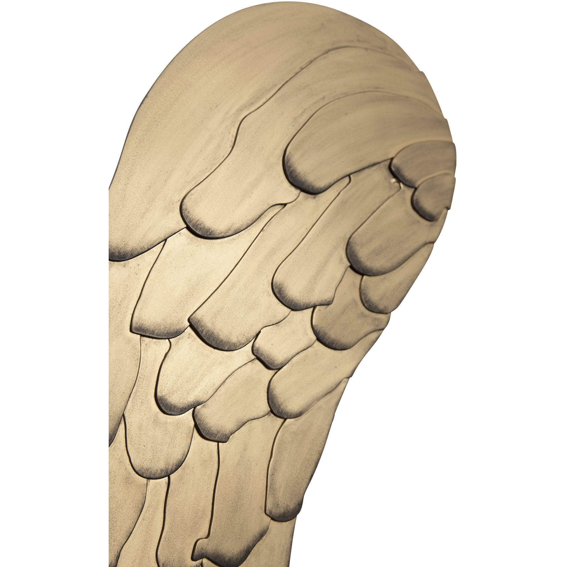 Angel Wings Havana Gold Wall Art