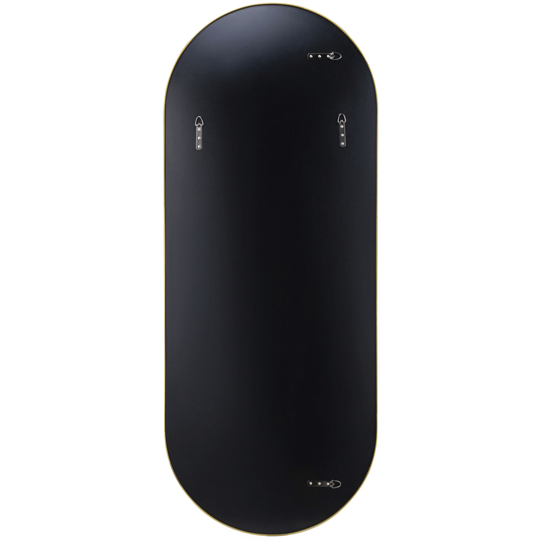 Capsule 60 X 24 inch Gold Wall Mirror