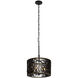 Estela 3 Light 16 inch Matte Black Pendant Ceiling Light, Smithsonian Collaboration