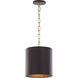 Cannery 1 Light 10 inch Dark Bronze and French Gold Mini Pendant Ceiling Light