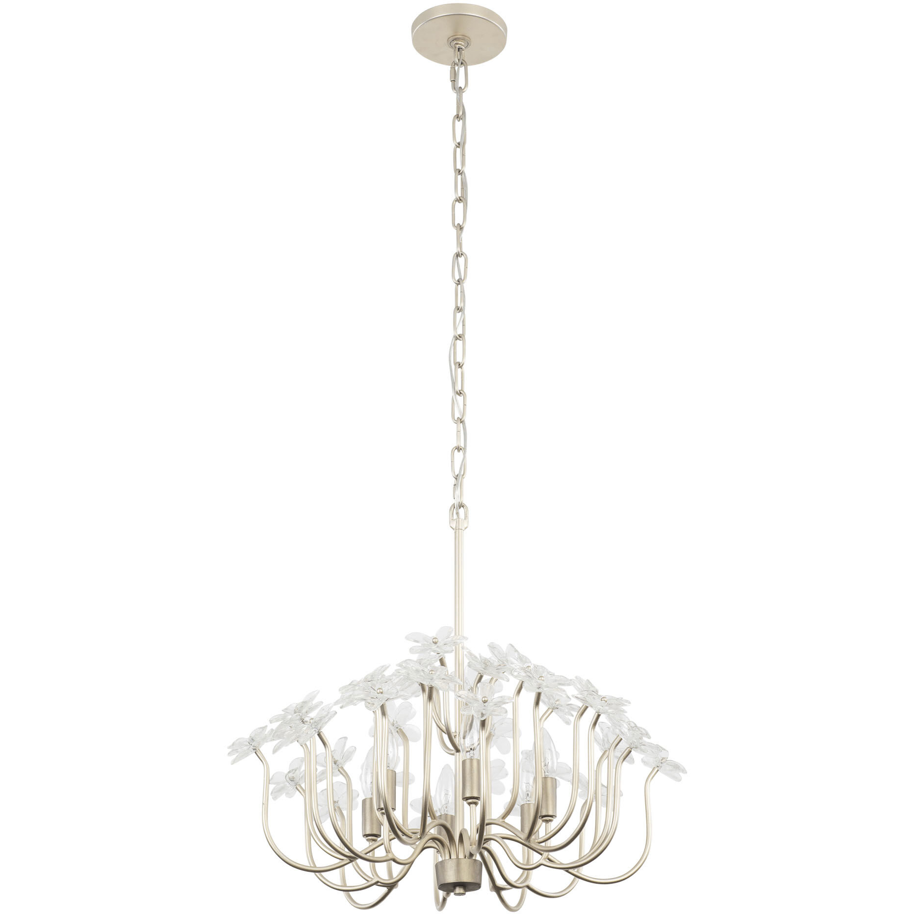 Wildflower 6 Light 26 inch Gold Dust Chandelier Ceiling Light, Smithsonian Collaboration