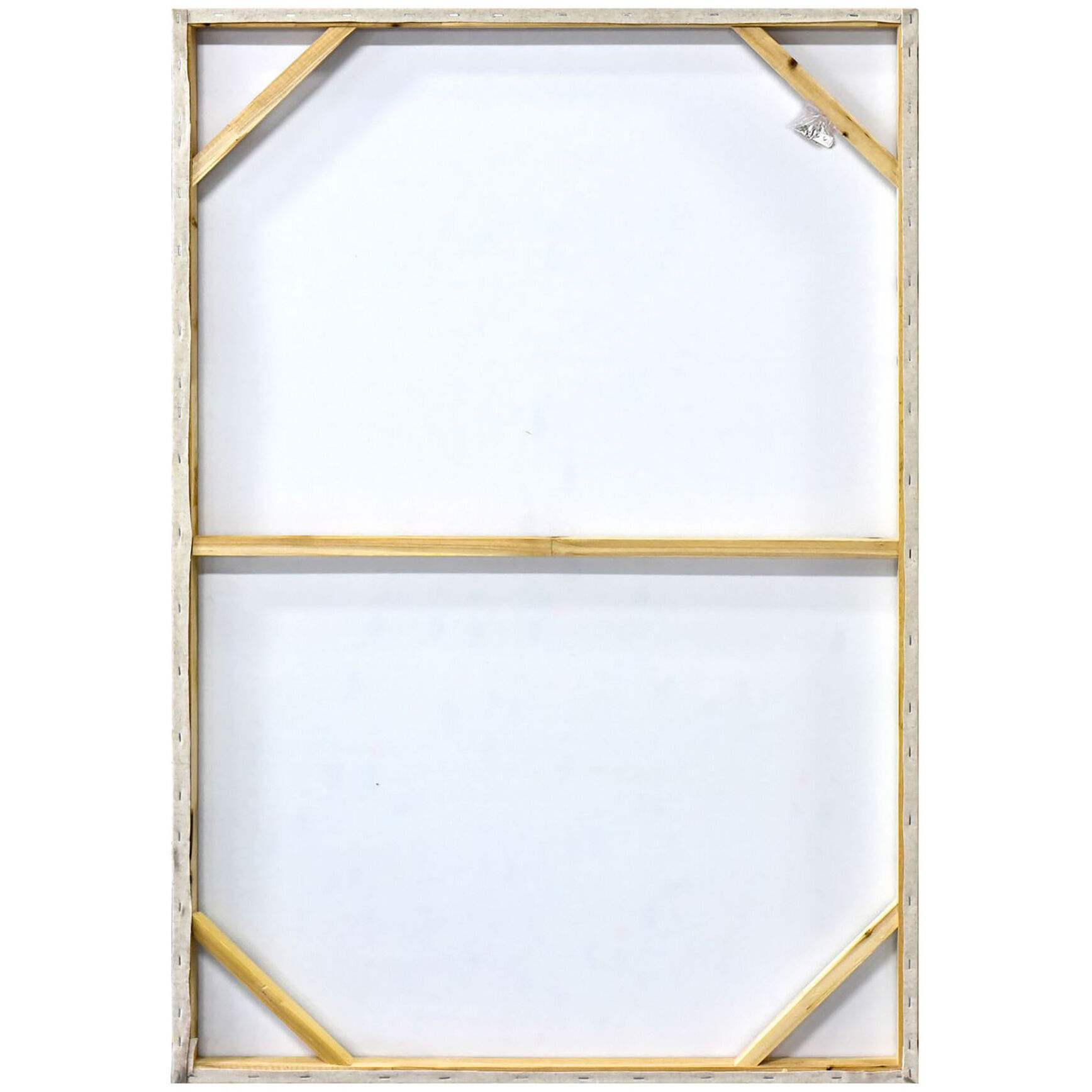 Social Climber Multi-color Wall Art