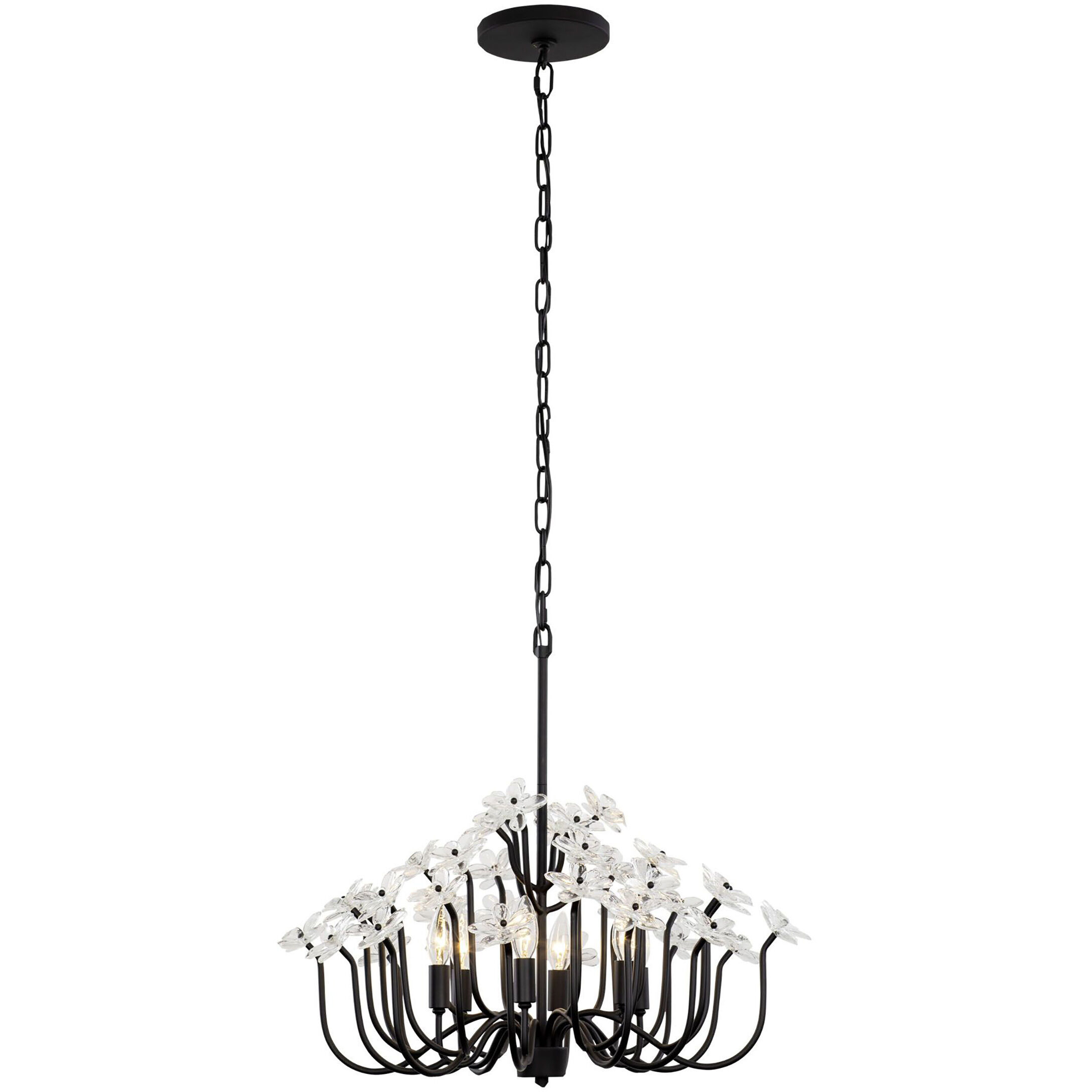 Wildflower 6 Light 26 inch Matte Black Chandelier Ceiling Light, Smithsonian Collaboration
