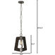 Lofty 1 Light 11.5 inch Faux Zebrawood and Steel Mini Pendant Ceiling Light in Steel/Zebrawood