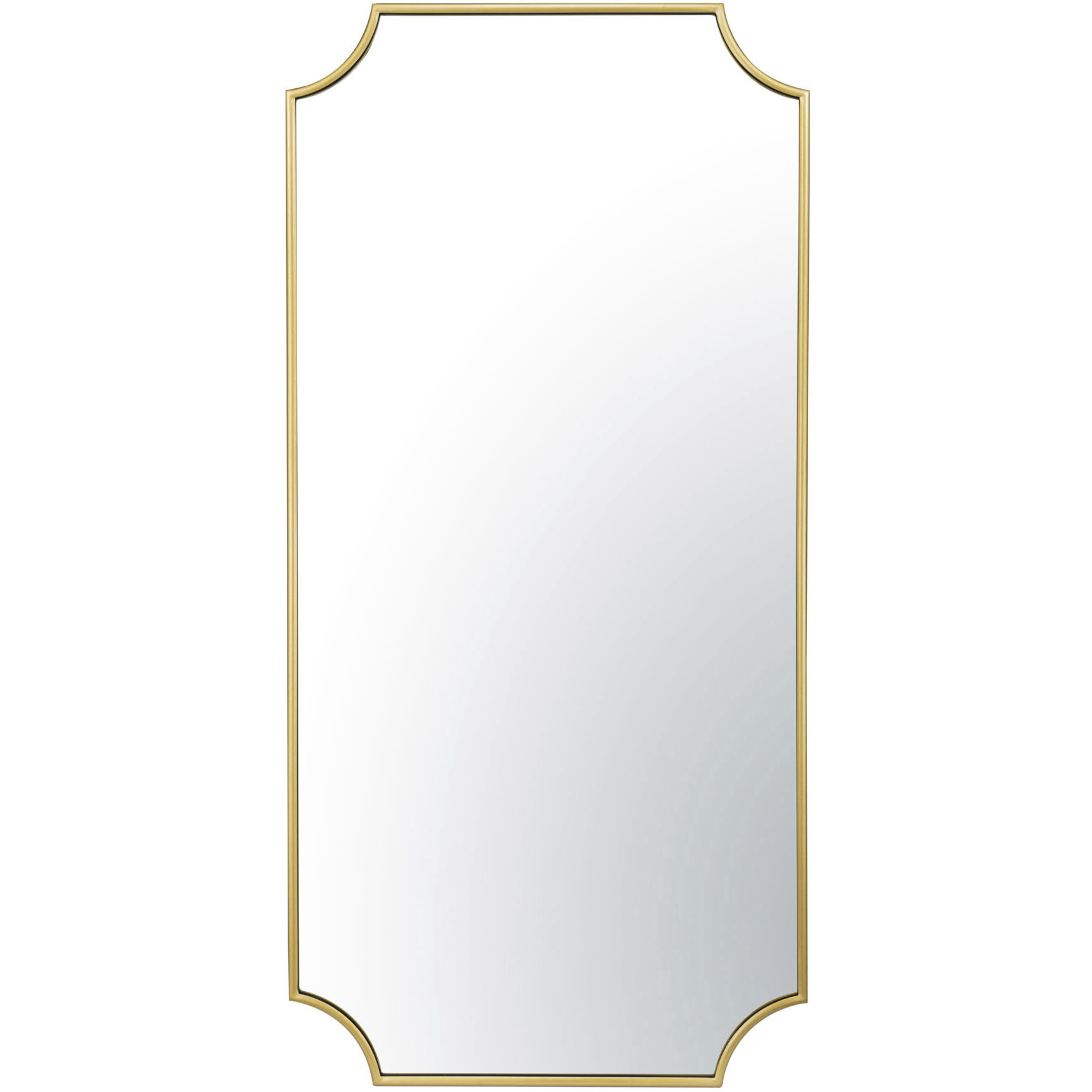 Carlton 50 X 24 inch Gold Wall Mirror, Tamara Day Collaboration
