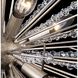 Orbital 12 Light 28 inch Gold Dust Pendant Ceiling Light