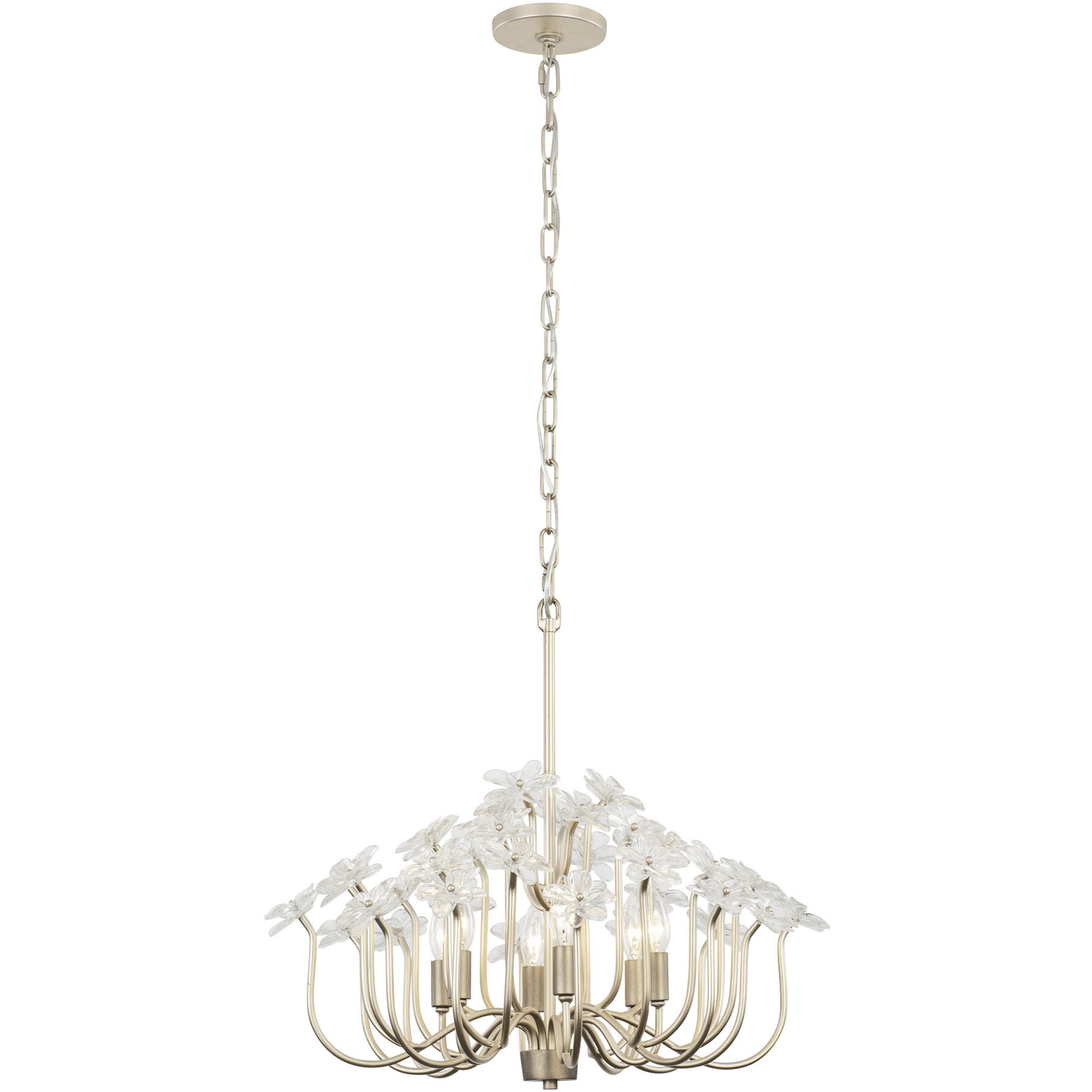 Wildflower 6 Light 26 inch Gold Dust Chandelier Ceiling Light, Smithsonian Collaboration