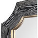 Farra 54 X 28 inch Cerused Black with Weathered Brass Wall Mirror