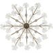 Wildflower 6 Light 26 inch Gold Dust Chandelier Ceiling Light, Smithsonian Collaboration