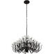 Wildflower 15 Light 40 inch Matte Black Chandelier Ceiling Light, Smithsonian Collaboration