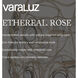 Ethereal Rose 8 Light 40.25 inch Havana Gold Ombre Chandelier Ceiling Light