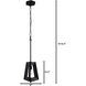 Gymnast 1 Light 10 inch Black Pendant Ceiling Light