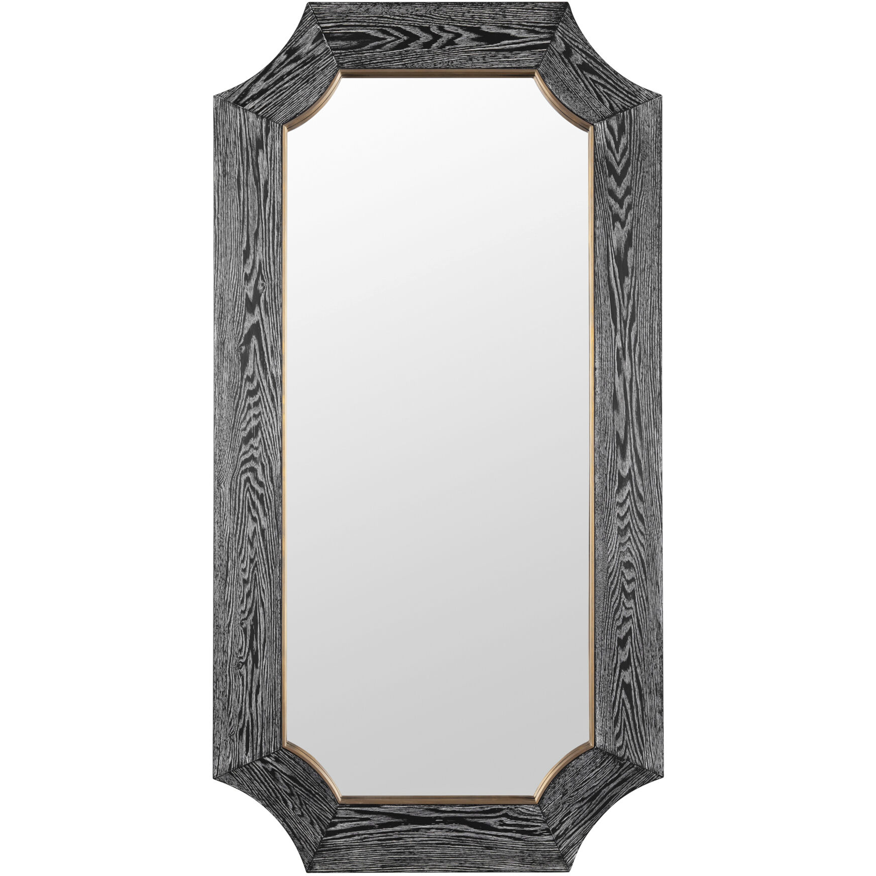 Farra 54 X 28 inch Cerused Black with Weathered Brass Wall Mirror, Varaluz Casa