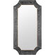 Farra 54 X 28 inch Cerused Black with Weathered Brass Wall Mirror, Varaluz Casa