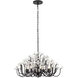 Wildflower 8 Light 32 inch Matte Black Chandelier Ceiling Light, Smithsonian Collaboration