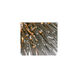 Urchin 1 Light 9 inch Painted Chrome Mini Pendant Ceiling Light