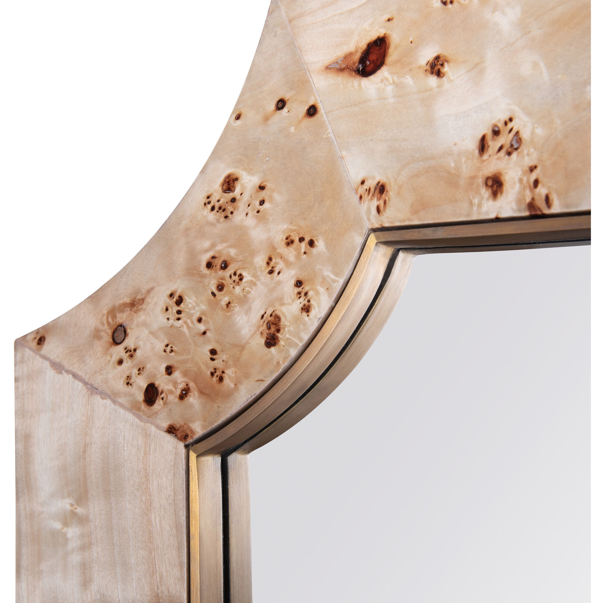 Farra 44 X 26 inch Poplar Burl with Weathered Brass Wall Mirror, Varaluz Casa