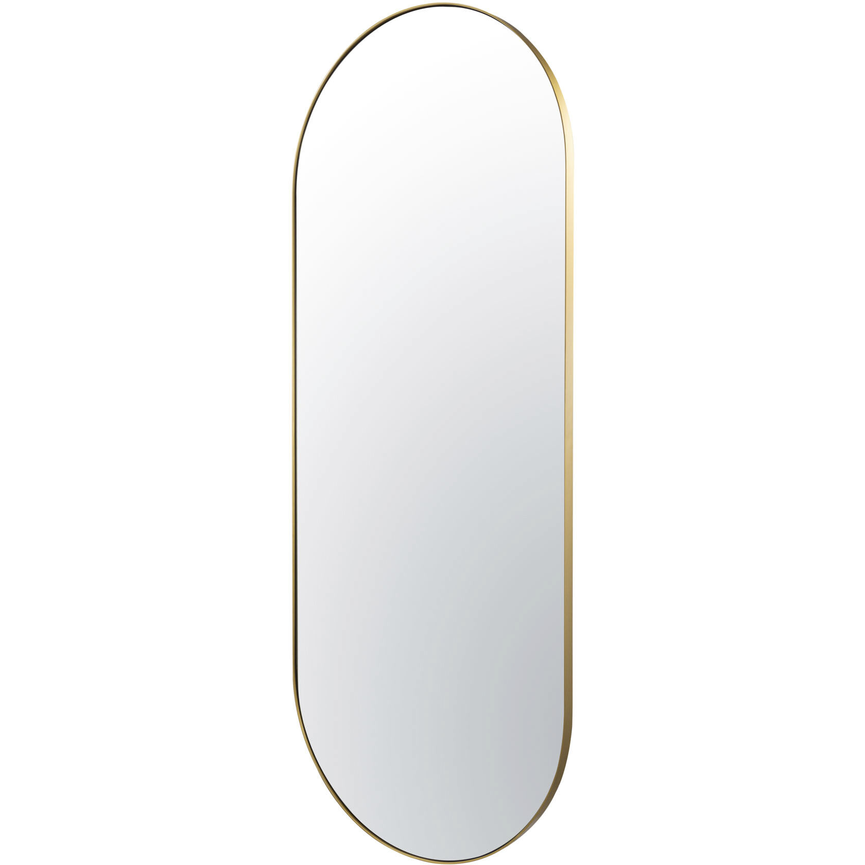 Capsule 60 X 24 inch Gold Wall Mirror
