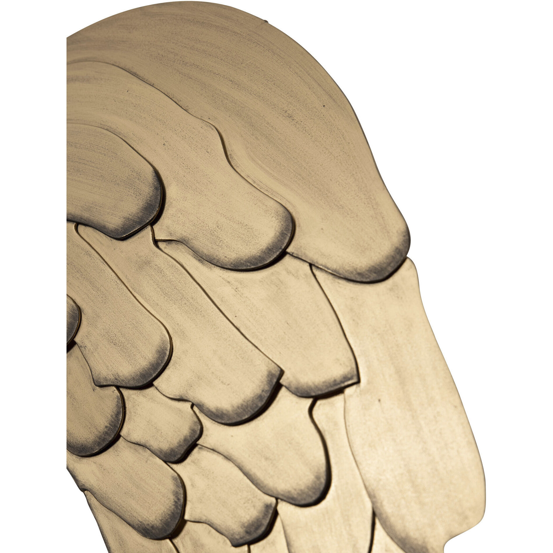 Angel Wings Havana Gold Wall Art