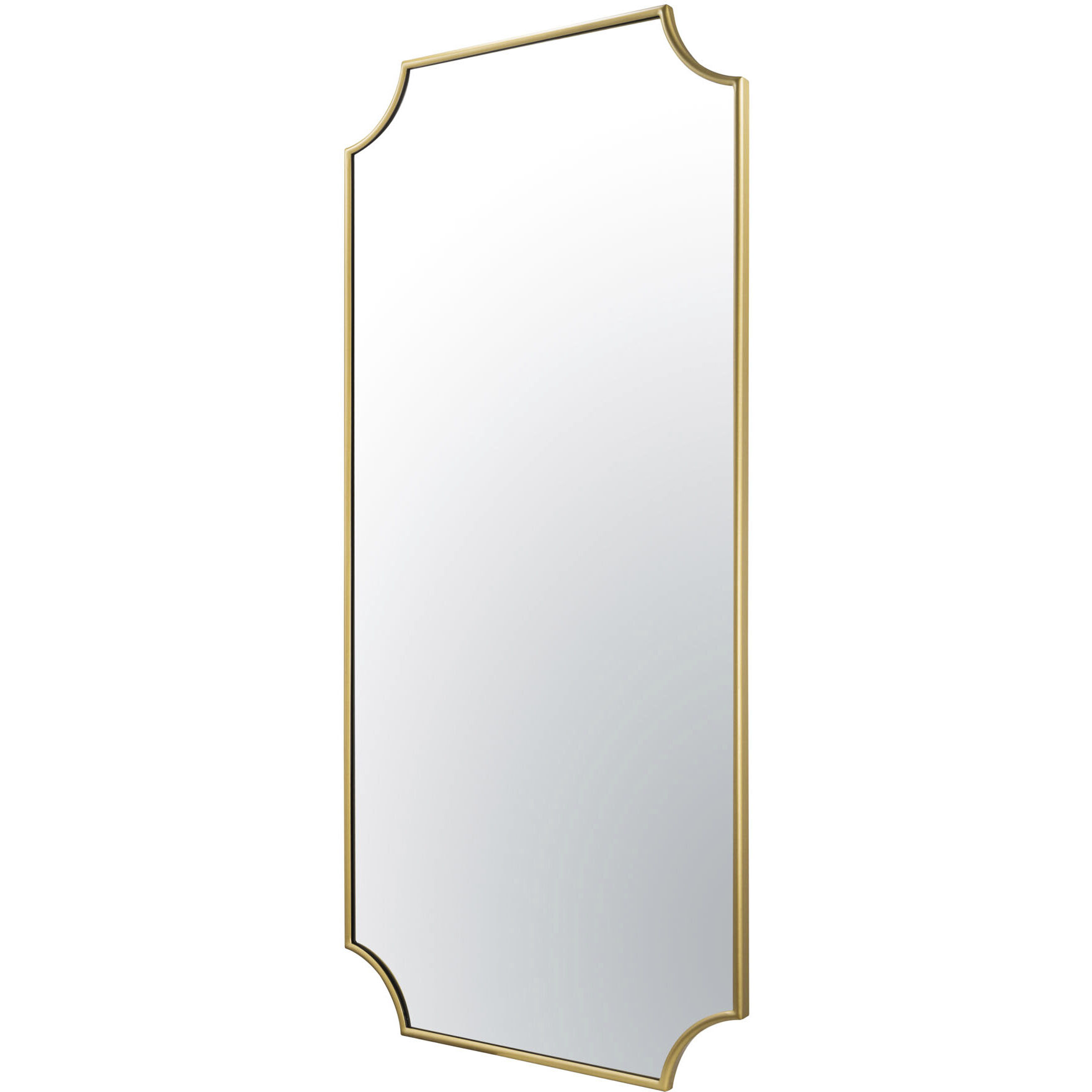 Carlton 50 X 24 inch Gold Wall Mirror, Tamara Day Collaboration