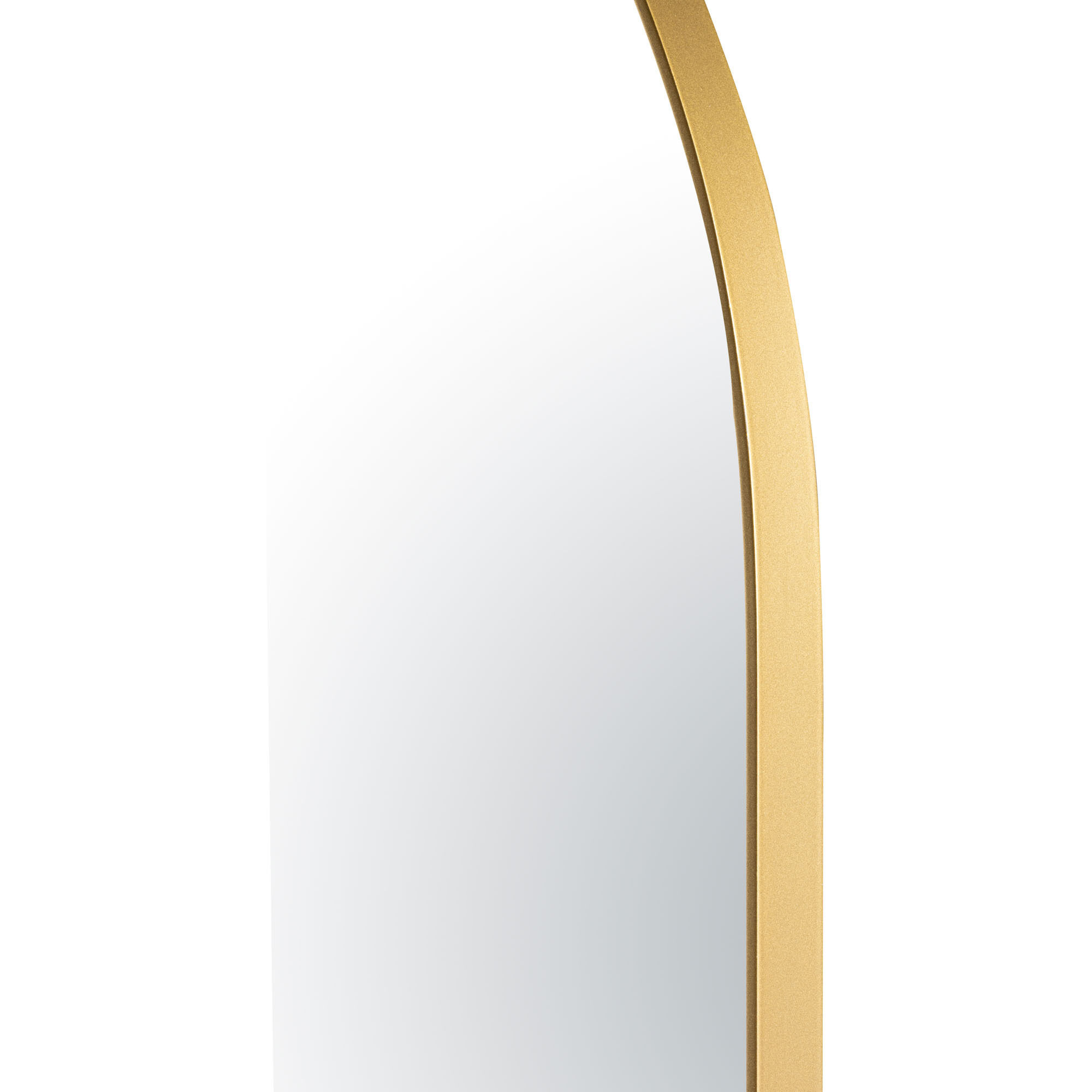 Capsule 60 X 24 inch Gold Wall Mirror