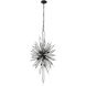 Orbital 20 Light 24 inch Carbon Pendant Ceiling Light
