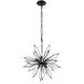 Orbital 8 Light 22 inch Carbon Pendant Ceiling Light