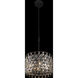 Windsor 4 Light 18 inch Carbon and Havana Gold Pendant Ceiling Light